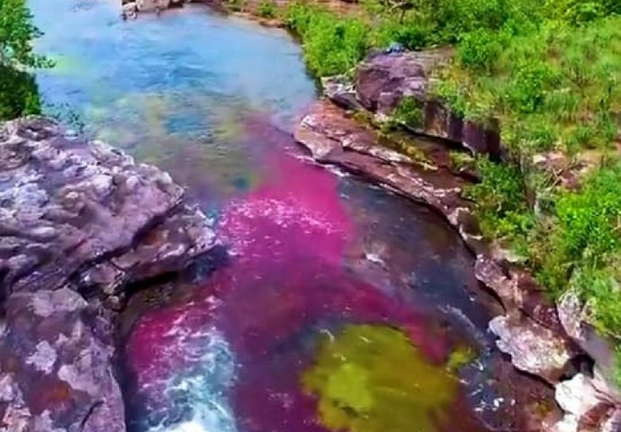 JEDINA NA PLANETI: Najljepša rijeka na svijetu teče u pet boja! (VIDEO)