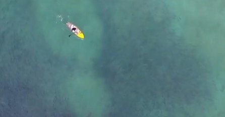 VESLAO JE BLIZU OBALE KAD SE UKAZALA AJKULA: Dron snimio nevjerovatan prizor, ljudi u šoku gledaju! (VIDEO)