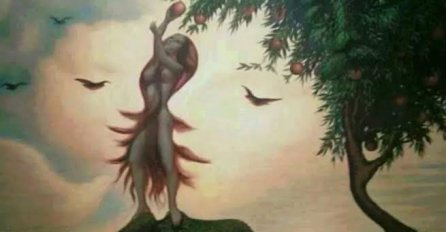 ZA MNOGE LAGAN TEST KONCENTRACIJE: Koliko lica vidite na ovoj slici? 