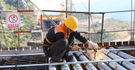 Radnici s Balkana POSVAĐALI NJEMAČKE PARLAMETARCE