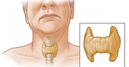 Ovo su simptomi da vam štitna žlijezda otkazuje i da mroate otići kod ljekara HITNO