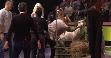 MARIJA JE OD POPOVIĆA DOBILA KOZU, A SAD JE PROCURILA SLIKA: "Šta ste ovo uradili sa kozom?" (FOTO)