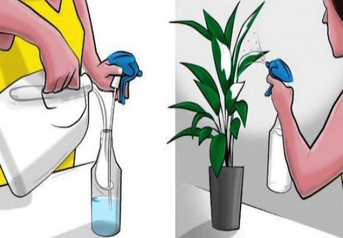 KAKO OVO RANIJE NISMO ZNALI: Poprskajte mlijeko na vaše biljke i dobit ćete nevjerovatan efekat