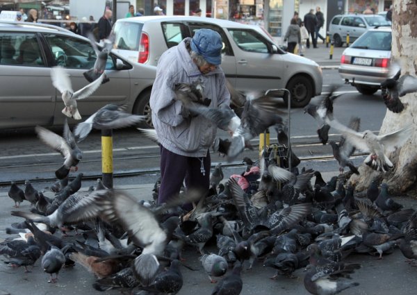 policija04-blic-rajko-ristic-1000x0