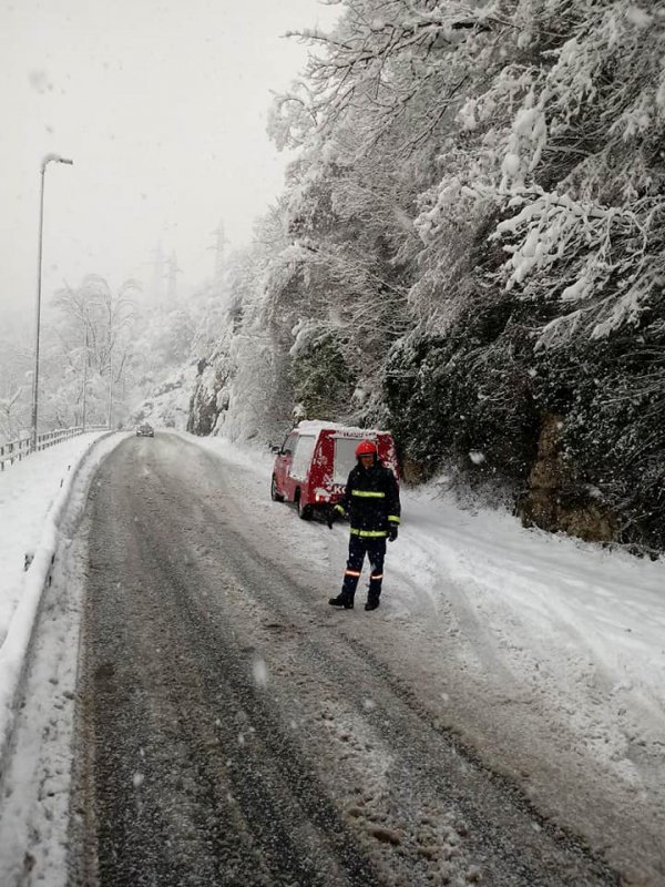 48314147-741671882857761-2639181584334323712-n