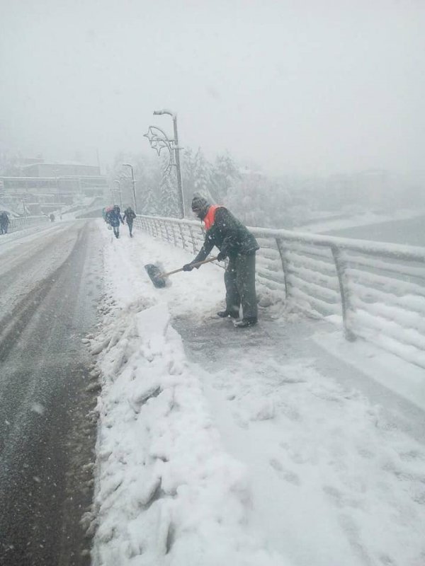 48363668-741671186191164-2766351369785835520-n