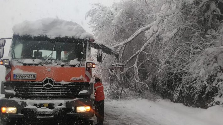 48378381-741671549524461-242634569545678848-n