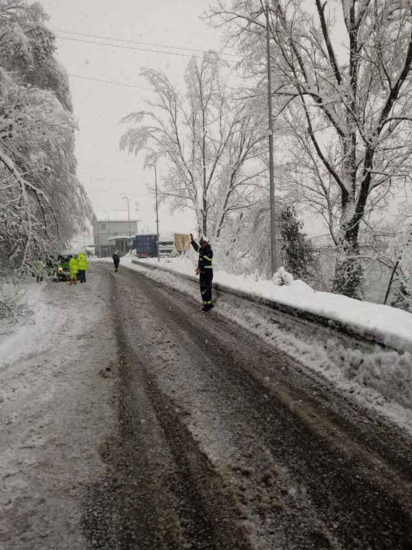 48391516-741671832857766-4529278760091910144-n