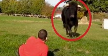 Bik je jurio prema njemu, a ono što se dogodilo će vas ostaviti bez riječi!(VIDEO)