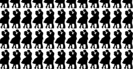 Samo 2% ljudi je uspjelo pronaći par koji se razlikuje od ostalih! Da li ste vi taj GENIJALAC?