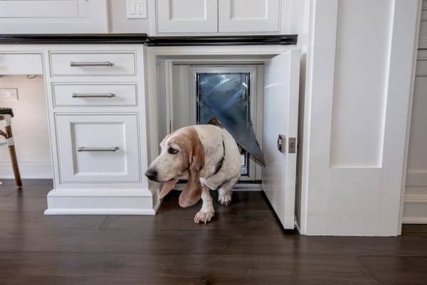 kitchen-lockable-doggy-door