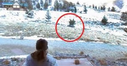 NJEGOVA SUPRUGA JE IZAŠLA VANI NA SNIJEG: Ono što se desilo nekoliko trenutaka kasnije POSMATRAT ĆETE U NEVJERICI (VIDEO)