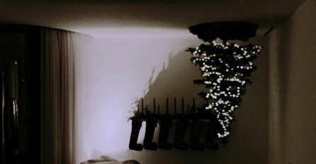 PJEVAČICA BOŽIĆNO DRVO POSTAVILA NAOPAKO: Kad su je novinari pitali zašto, sve je IZNENADILA ODGOVOROM