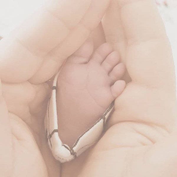 28429936-163187341005637-2375941303595696128-n