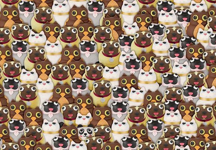 NAJNOVIJI IZAZOV KOJIM ĆETE TESTIRATI SVOJ VID I MOĆ ZAPAŽANJA! Na slici je potrebno pronaći pandu koja se skriva među mačkama i sovama! (FOTO)