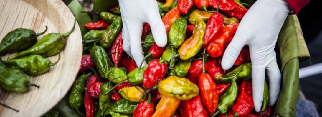ghost-pepper-basket-orig-1200x439