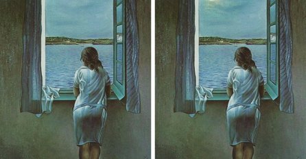 Samo genijalni ljudi mogu da pronađu sve razlike na ovim slikama, od slike broj 5 će vas 