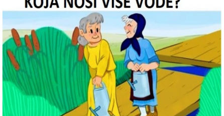 TESTIRAJTE SVOJU LOGIKU: Tri zadatka koja svima zadaju glavobolju, da li ih možete riješiti? 