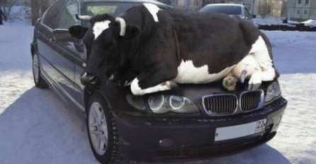 CIJELI SVIJET MISLI DA SU OVE SLIKE PRAVE: Ovo je fotošop, kad vidite broj 3 sve će vam bit jasno! 