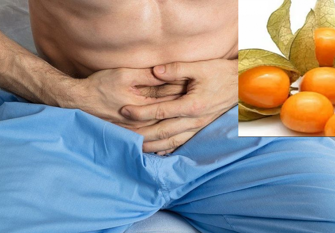 ZOVU GA ZLATNO BLAGO: Ovo je najbolji lijek za prostatu, sprječava rak želuca i debelog crijeva