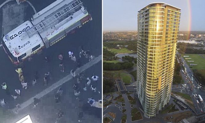 7780254-0-image-a-84-1545632220609