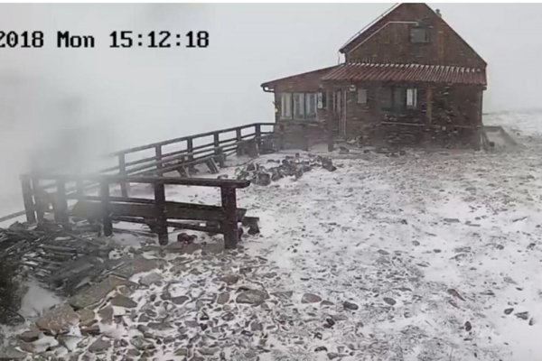 1716865-screenshot-5-ls