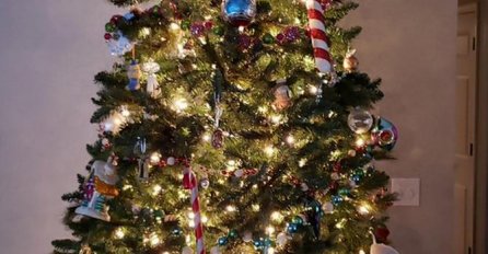 LJUDE BOLE OČI OD TRAŽENJA I OPET JE NE VIDE: Vidite li gdje se sakrila MAČKA NA JELKI? (FOTO)