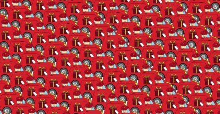 SVI GLEDAJU, ALI NIKO NE MOŽE DA PRONAĐE: Možete li za manje od 10 sekundi pronaći DEDA MRAZA NA SLICI!