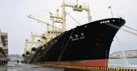 Japan ponovo pokreće kitolov, napušta međunarodnu komisiju