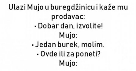 VIC : Mujo u buregdžinici