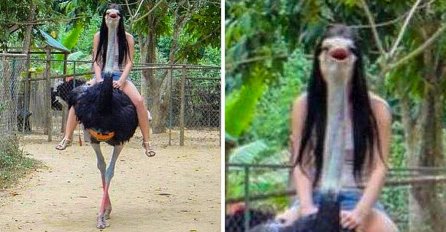 SVI GLEDAJU U OVU SLIKU I HVATAJU SE ZA GLAVU: Vidite li šta nije uredu? (FOTO)