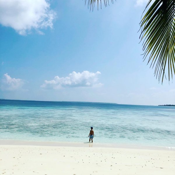 46670256-2274908989410706-6615296942522664423-n