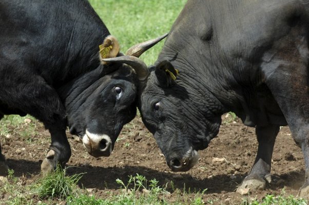 kladnjice-bikijada2-290412-1