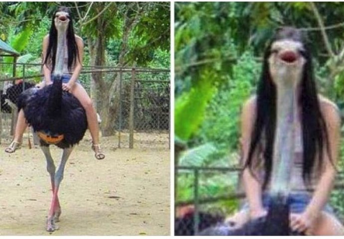 Savršeno uhvaćene fotografije koje će vas na prvi pogled mnogo zbuniti