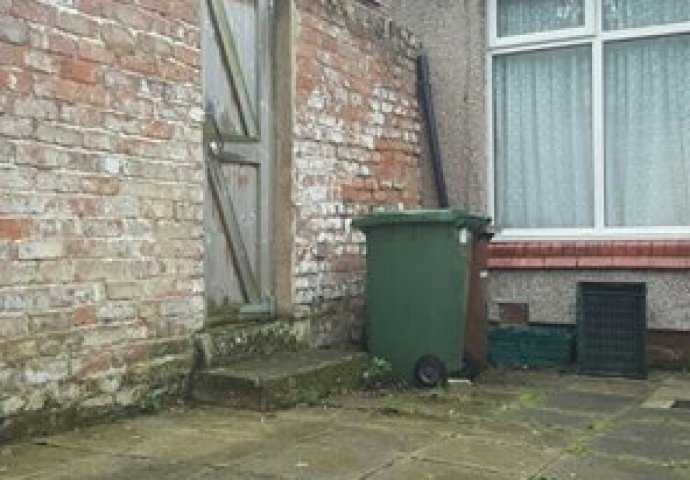 DA LI MOŽETE UOČITI MAČKU NA FOTOGRAFIJI: Ovaj kućni ljubimac se tako dobro stopio sa okolinom da ga niko ne može pronaći! (FOTO)