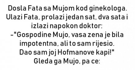 VIC : Hofmanove kapi