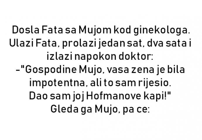 VIC : Hofmanove kapi