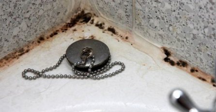 ZNATE LI DA JE BUĐ U KUPATILU  VEOMA OPASNA PO ZDRAVLJE: Treba vam samo jedan sastojak da je ZAUVIJEK UKLONITE iz kuće