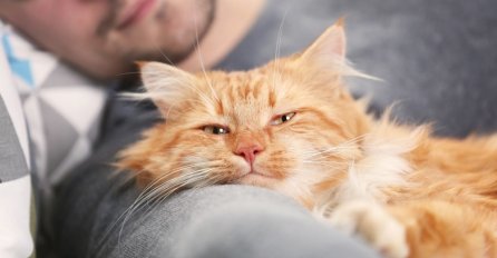 "Preselila sam se kod dečka, a onda...."