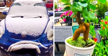 KAO DA SU ŽIVI: Stvari oko nas su tako VARLJIVE, ovih 20 fotografija će vas ostaviti u čudu