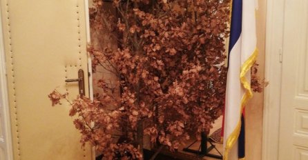 UOČI BOŽIĆA: Unesen badnjak u Dodikov kabinet u Sarajevu