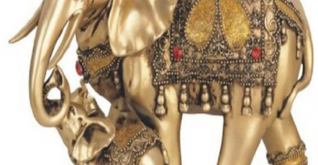 SVI ZNAMO DA FIGURICA SLONA DONOSI NOVAC I SREĆU U DOM: Ali, ovo vam niko nije rekao 