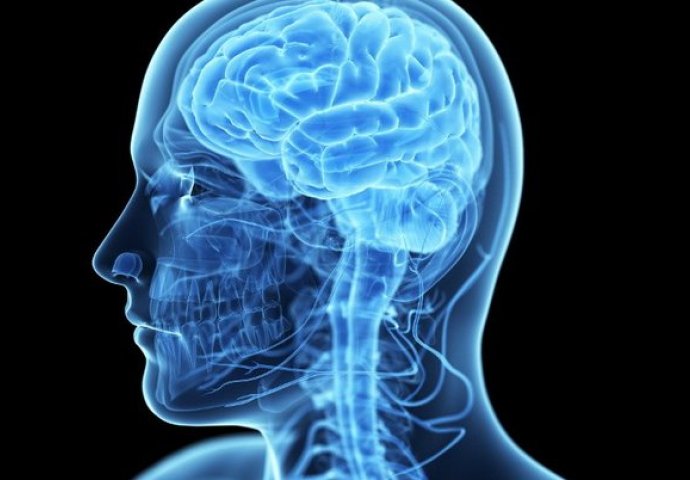 8 SIMPTOMA TUMORA NA MOZGU: Ako dođe do broja 4 VEĆ JE KRITIČNO, odmah se javite doktoru 