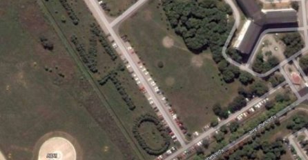 TAJNA STARA 40 GODINA: Otkud DRVORED Tito u Beogradu? (FOTO)