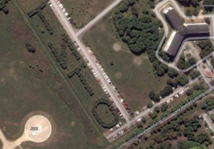 TAJNA STARA 40 GODINA: Otkud DRVORED Tito u Beogradu? (FOTO)