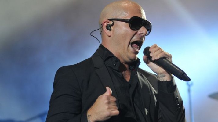 pitbull-5d0z03x5v98w9twmal2-ct677x380