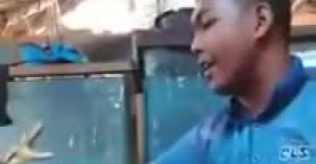 IGRAO SE SA ZMIJOM MISLEĆI DA JE BESPOMOĆNA, A ONDA SE SVE PREOKRENULO: Ovaj užas još niste vidjeli (VIDEO)