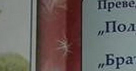 NA FACEBOOKU U SRBIJI SE DIGLA HISTERIJA OKO DJEČIJEG ZADATKA: Roditelji tvrde da je sraman, šta vi kažete?