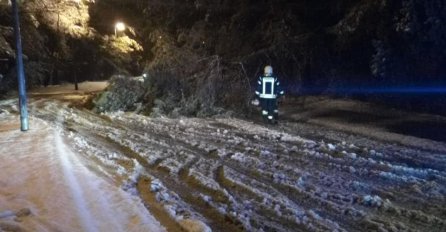Snijeg rušio stabla u Mostaru, vatrogasci izašli na teren (FOTO)