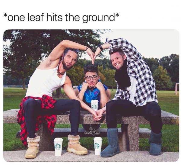 41387204-1889818187993883-1188376496400948237-n